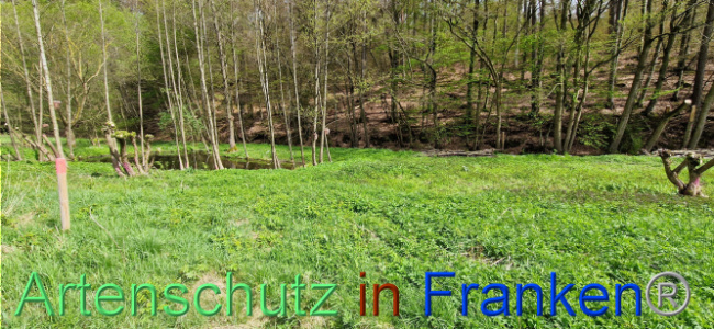 Bild zum Eintrag (1106129-160)