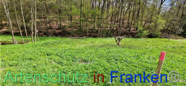 Bild zum Eintrag (1106130-160)