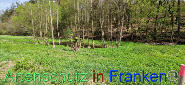 Bild zum Eintrag (1106131-160)