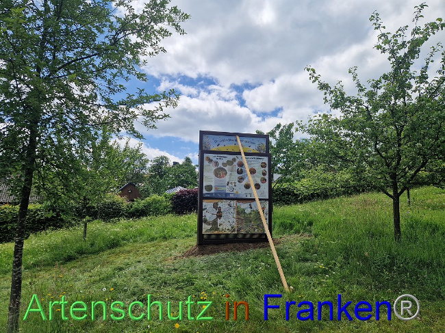 © Artenschutz in Franken® Bild zum Eintrag (1106312-160)