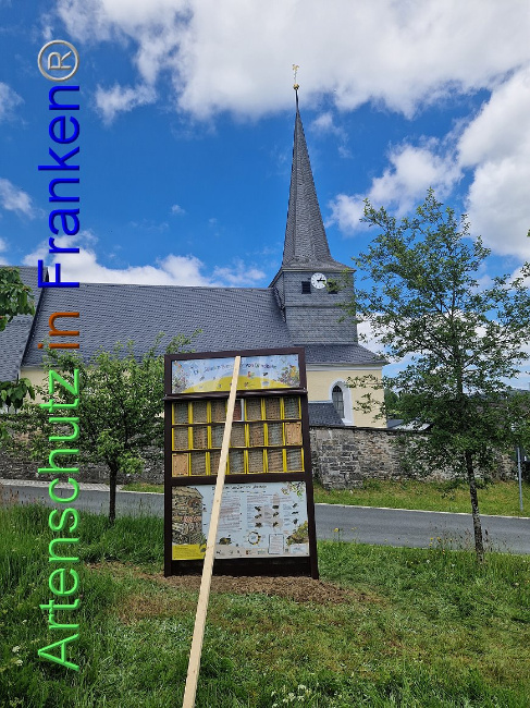 © Artenschutz in Franken® Bild zum Eintrag (1106313-160)