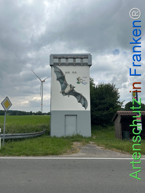 © Artenschutz in Franken® Bild zum Eintrag (1106360-160)