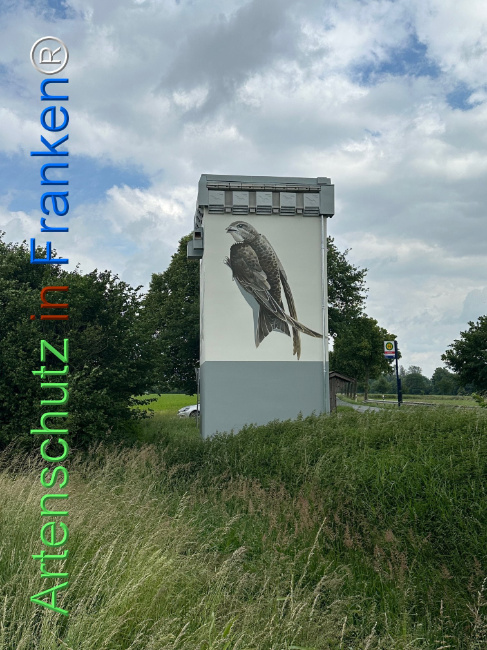 © Artenschutz in Franken® Bild zum Eintrag (1106361-160)