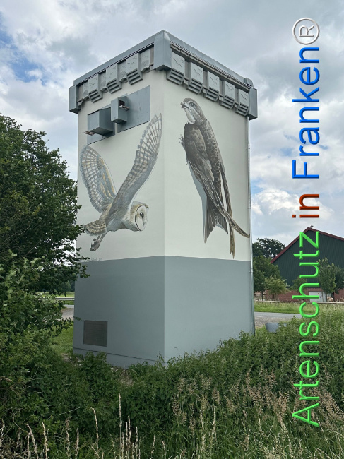 © Artenschutz in Franken® Bild zum Eintrag (1106365-160)
