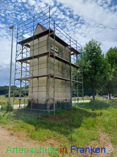 Bild zum Eintrag (1106462-160)