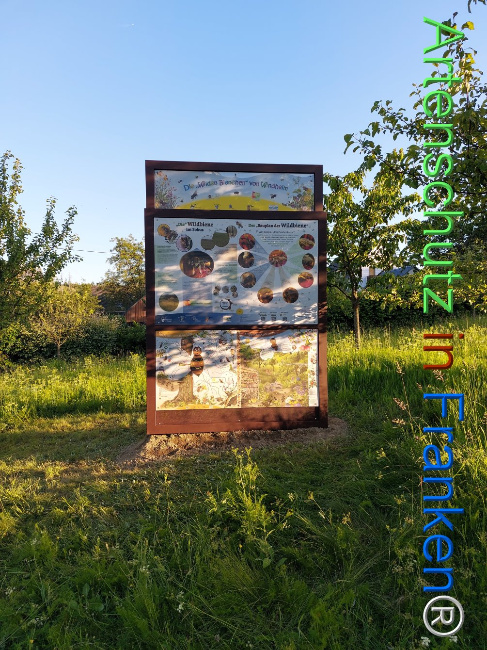 © Artenschutz in Franken® Bild zum Eintrag (1106565-160)