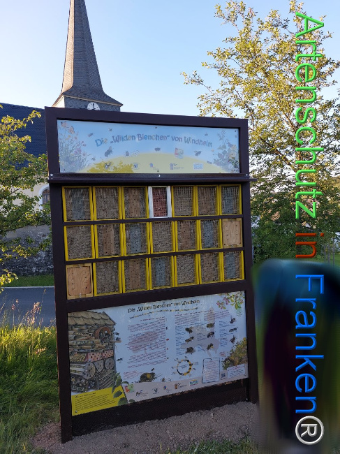 © Artenschutz in Franken® Bild zum Eintrag (1106566-160)