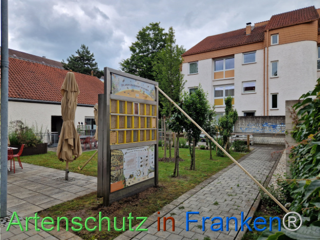 © Artenschutz in Franken® Bild zum Eintrag (1106789-160)