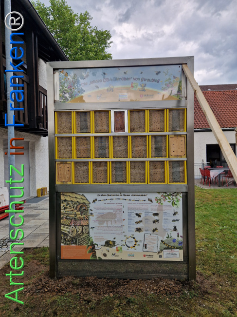 © Artenschutz in Franken® Bild zum Eintrag (1106790-160)
