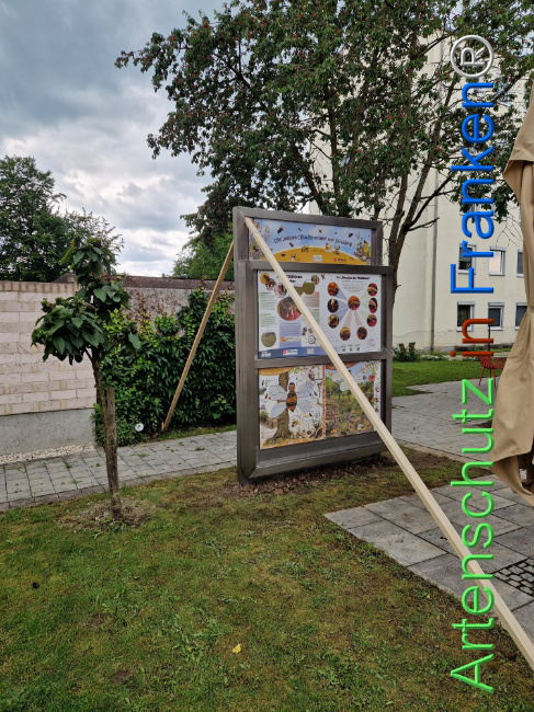 Bild zum Eintrag (1106794-160)
