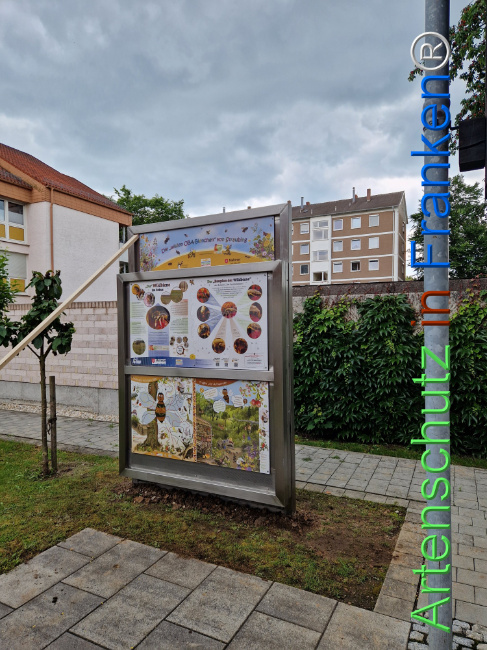 Bild zum Eintrag (1106795-160)