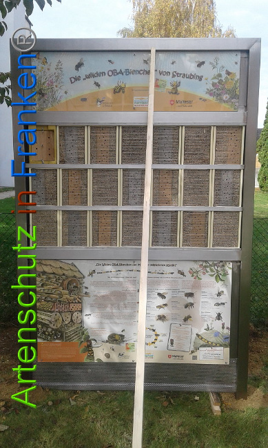 © Artenschutz in Franken® Bild zum Eintrag (1106798-160)