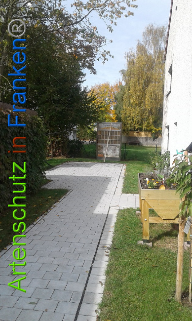 © Artenschutz in Franken® Bild zum Eintrag (1106800-160)