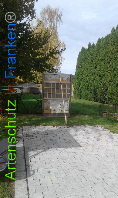 © Artenschutz in Franken® Bild zum Eintrag (1106801-160)