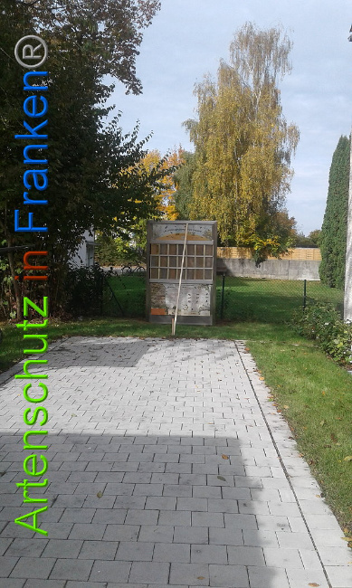 © Artenschutz in Franken® Bild zum Eintrag (1106802-160)