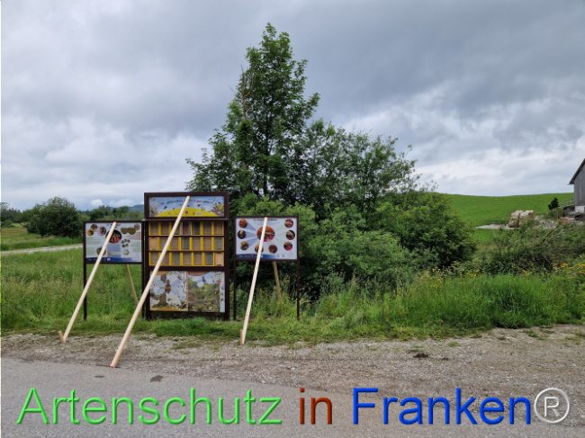 Bild zum Eintrag (1106855-160)