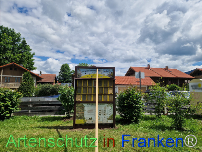 © Artenschutz in Franken® Bild zum Eintrag (1106900-160)