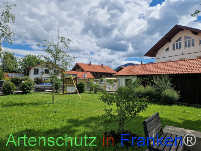 © Artenschutz in Franken® Bild zum Eintrag (1106903-160)