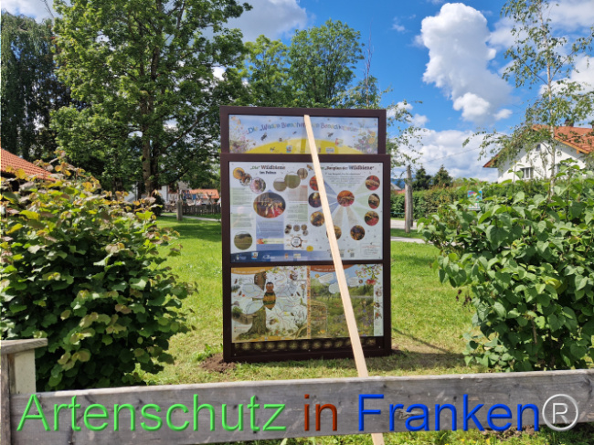 © Artenschutz in Franken® Bild zum Eintrag (1106904-160)