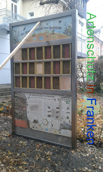 Bild zum Eintrag (1106932-160)