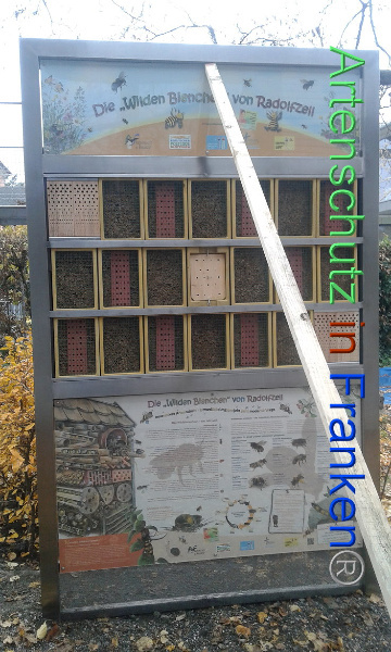 © Artenschutz in Franken® Bild zum Eintrag (1106937-160)