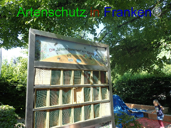 © Artenschutz in Franken® Bild zum Eintrag (1106940-160)