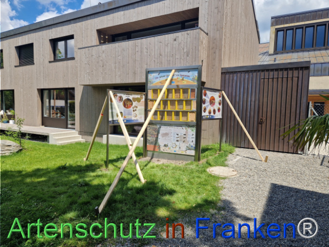 © Artenschutz in Franken® Bild zum Eintrag (1106944-160)