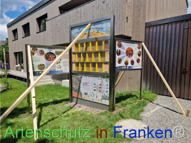© Artenschutz in Franken® Bild zum Eintrag (1106947-160)