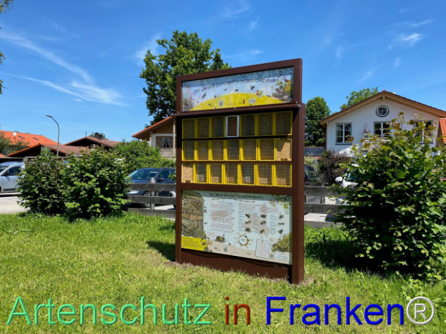 © Artenschutz in Franken® Bild zum Eintrag (1107144-160)