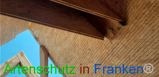 © Artenschutz in Franken® Bild zum Eintrag (1107352-160)