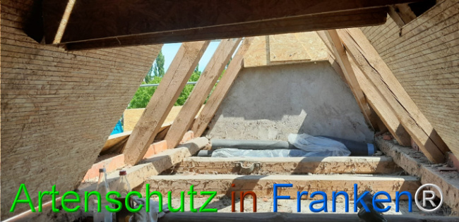 © Artenschutz in Franken® Bild zum Eintrag (1107361-160)