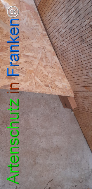 © Artenschutz in Franken® Bild zum Eintrag (1107362-160)