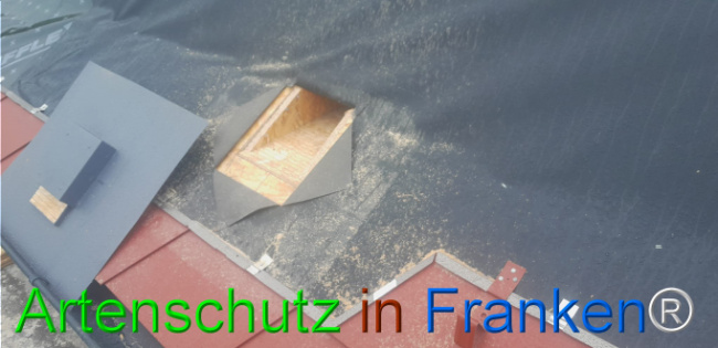 © Artenschutz in Franken® Bild zum Eintrag (1107363-160)