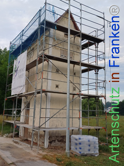 Bild zum Eintrag (1107635-160)