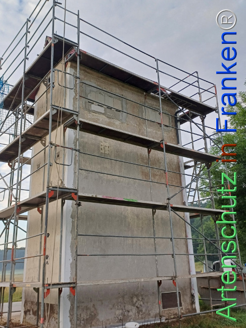 Bild zum Eintrag (1107636-160)