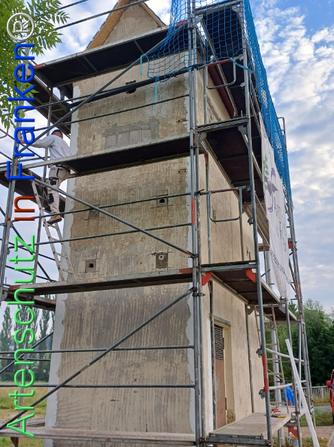 Bild zum Eintrag (1107637-160)