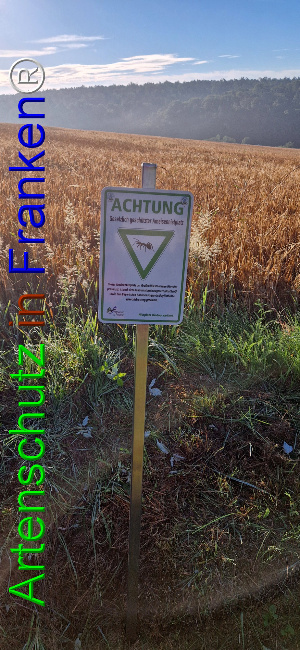 © Artenschutz in Franken® Bild zum Eintrag (1108077-160)