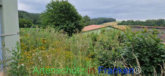 Bild zum Eintrag (1108257-160)
