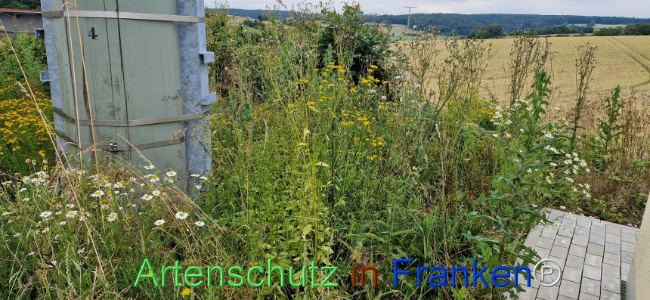 Bild zum Eintrag (1108259-160)
