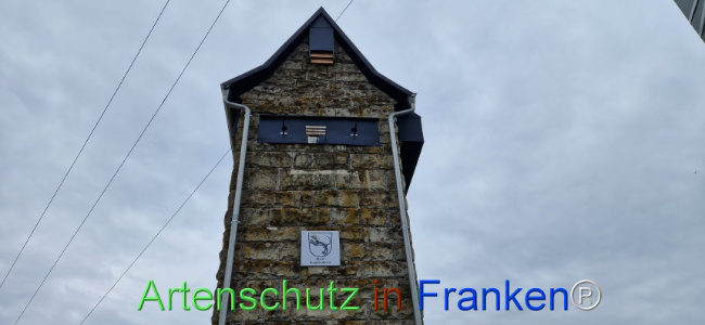 Bild zum Eintrag (1108263-160)