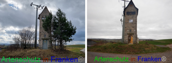 © Artenschutz in Franken® Bild zum Eintrag (1108266-160)