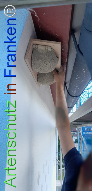 Bild zum Eintrag (1108342-160)