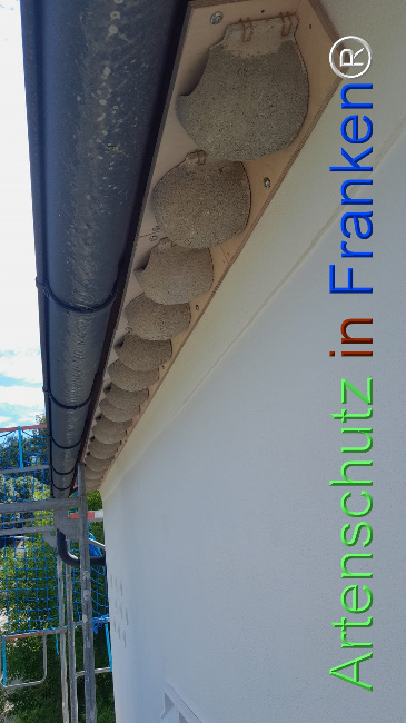 Bild zum Eintrag (1108346-160)