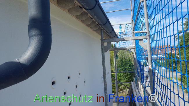 Bild zum Eintrag (1108350-160)