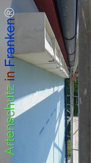 Bild zum Eintrag (1108352-160)