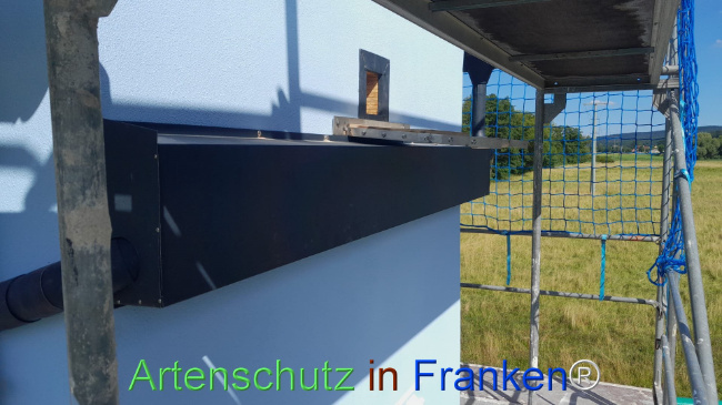 © Artenschutz in Franken® Bild zum Eintrag (1108355-160)