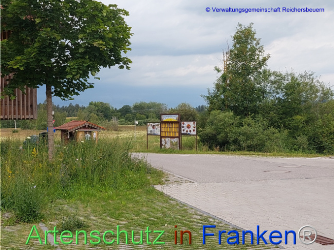 © Artenschutz in Franken® Bild zum Eintrag (1108508-160)
