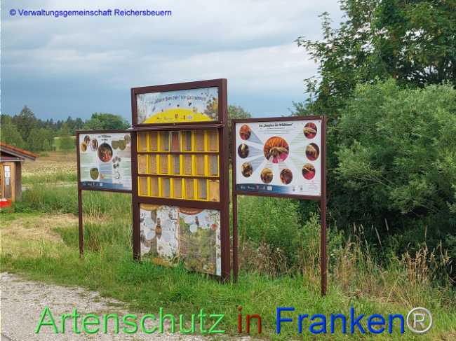© Artenschutz in Franken® Bild zum Eintrag (1108510-160)
