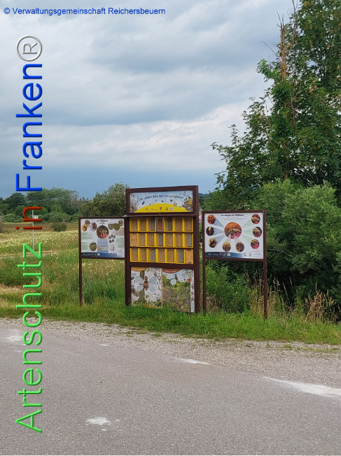© Artenschutz in Franken® Bild zum Eintrag (1108511-160)