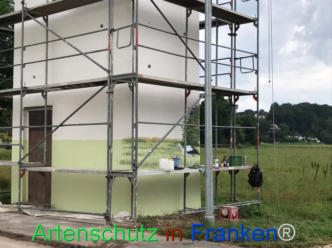 © Artenschutz in Franken® Bild zum Eintrag (1108539-160)